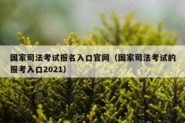 国家司法考试报名入口官网（国家司法考试的报考入口2021）