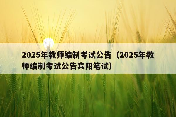 2025年教师编制考试公告（2025年教师编制考试公告宾阳笔试）