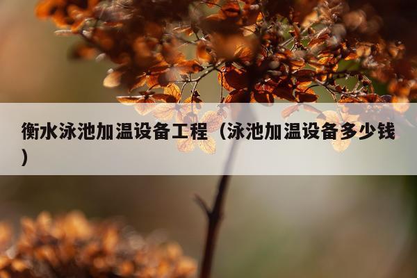 衡水泳池加温设备工程（泳池加温设备多少钱）