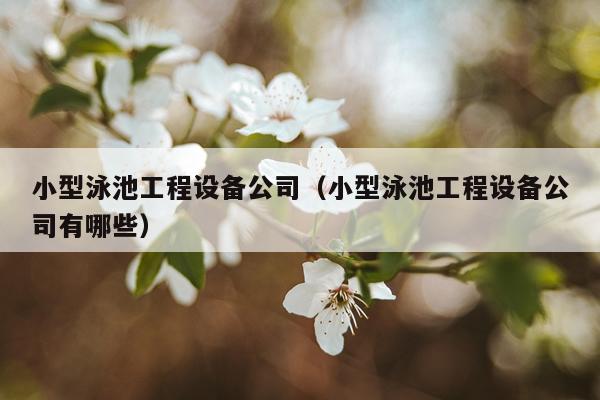 小型泳池工程设备公司（小型泳池工程设备公司有哪些）