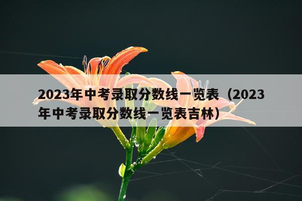2023年中考录取分数线一览表（2023年中考录取分数线一览表吉林）