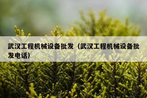 武汉工程机械设备批发（武汉工程机械设备批发电话）