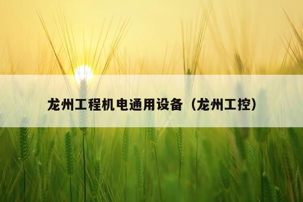 龙州工程机电通用设备（龙州工控）