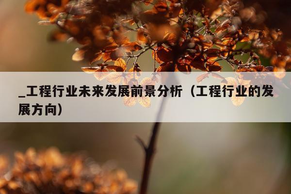 _工程行业未来发展前景分析（工程行业的发展方向）