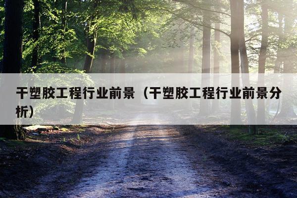 干塑胶工程行业前景（干塑胶工程行业前景分析）
