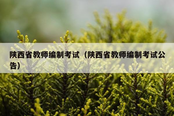 陕西省教师编制考试（陕西省教师编制考试公告）
