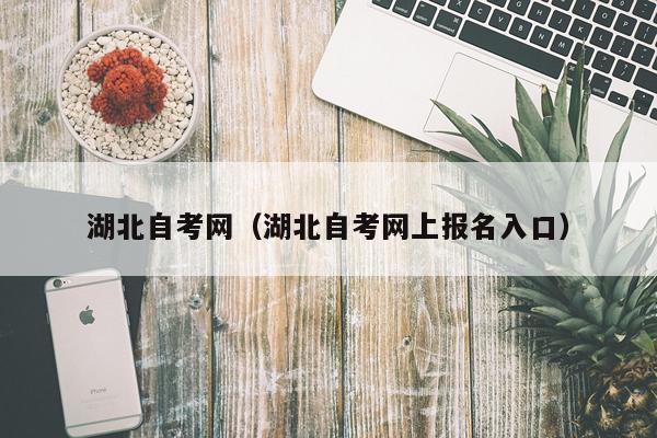 湖北自考网（湖北自考网上报名入口）