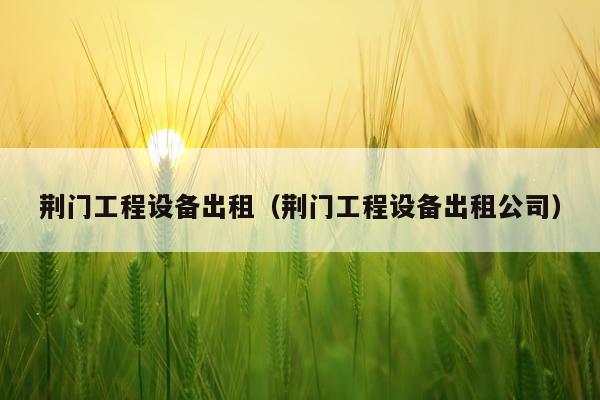 荆门工程设备出租（荆门工程设备出租公司）