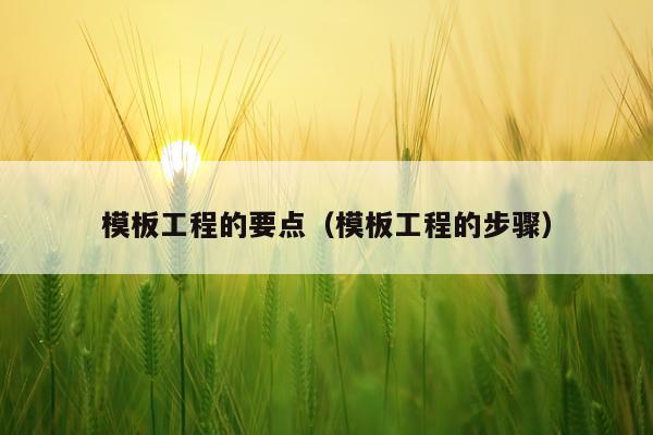 模板工程的要点（模板工程的步骤）