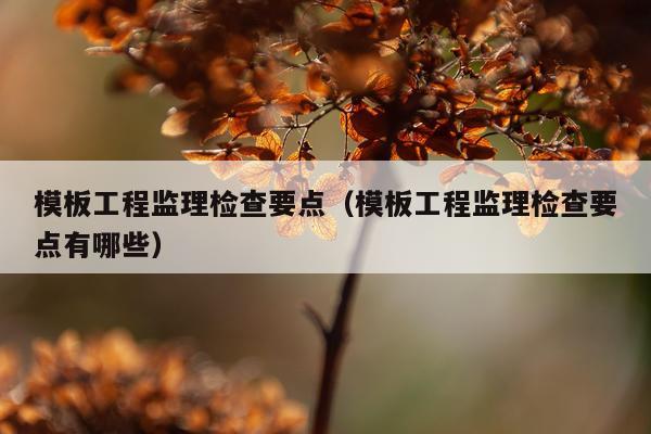 模板工程监理检查要点（模板工程监理检查要点有哪些）