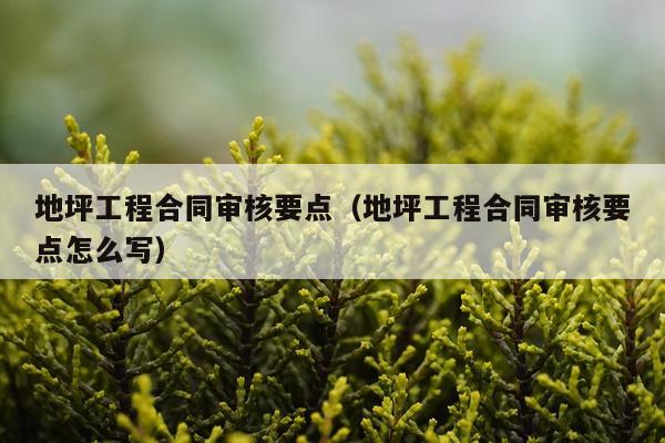 地坪工程合同审核要点（地坪工程合同审核要点怎么写）