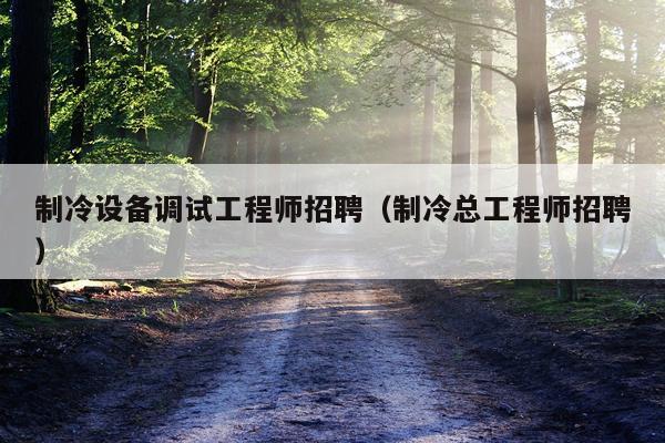 制冷设备调试工程师招聘（制冷总工程师招聘）