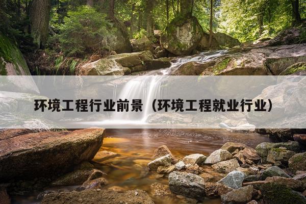 环境工程行业前景（环境工程就业行业）