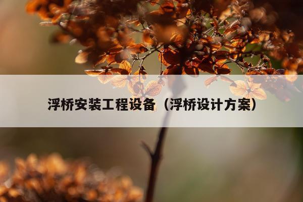 浮桥安装工程设备(浮桥设计方案)