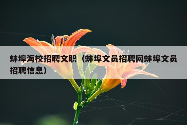蚌埠海校招聘文职（蚌埠文员招聘网蚌埠文员招聘信息）