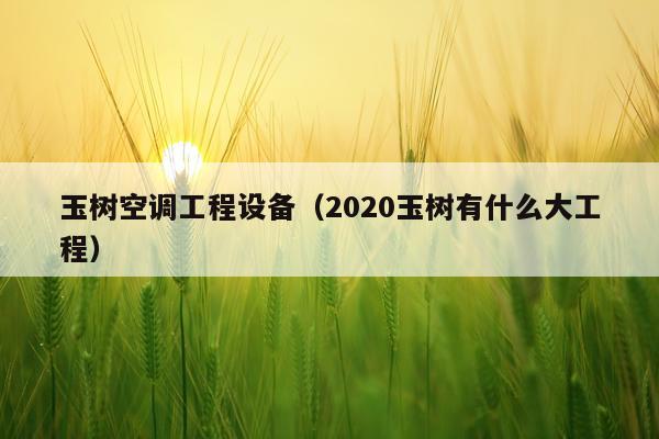 玉树空调工程设备（2020玉树有什么大工程）