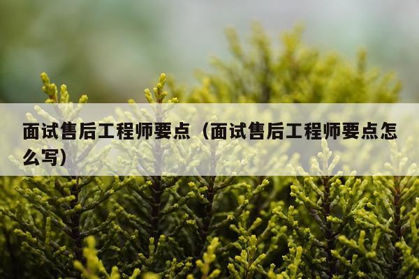 面试售后工程师要点（面试售后工程师要点怎么写）