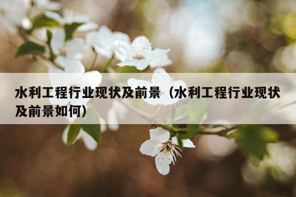 水利工程行业现状及前景（水利工程行业现状及前景如何）
