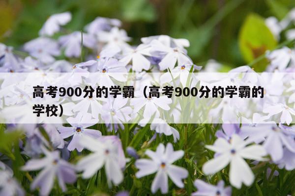 高考900分的学霸（高考900分的学霸的学校）