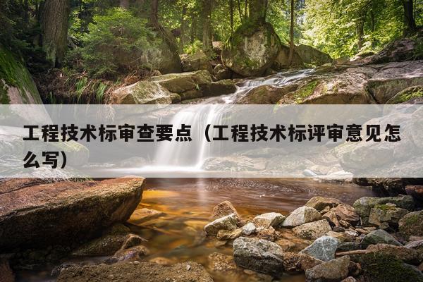 工程技术标审查要点（工程技术标评审意见怎么写）