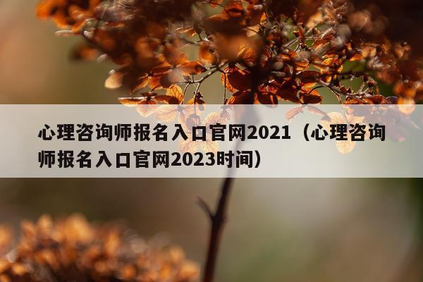 心理咨询师报名入口官网2021（心理咨询师报名入口官网2023时间）