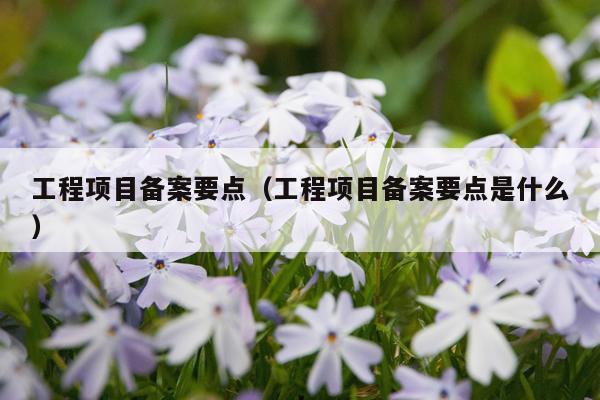 工程项目备案要点（工程项目备案要点是什么）