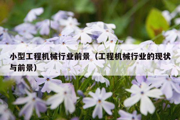 小型工程机械行业前景（工程机械行业的现状与前景）