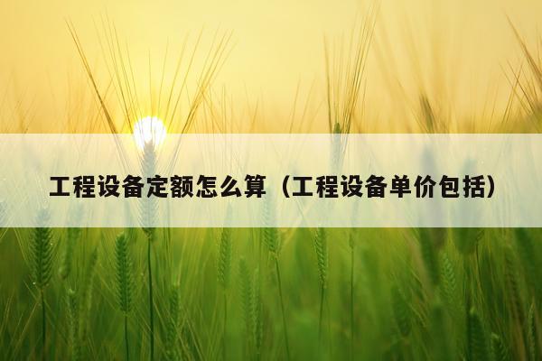 工程设备定额怎么算（工程设备单价包括）