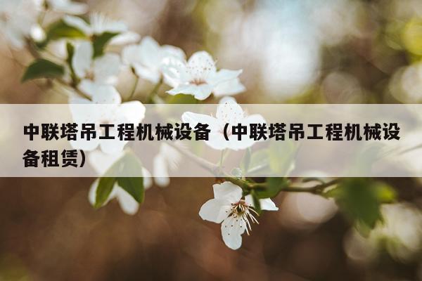中联塔吊工程机械设备(中联塔吊工程机械设备租赁)
