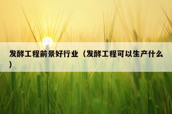 发酵工程前景好行业（发酵工程可以生产什么）
