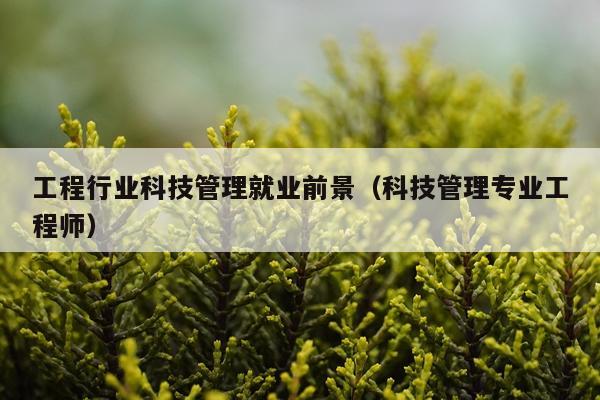 工程行业科技管理就业前景（科技管理专业工程师）
