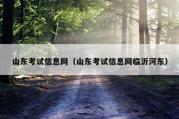 山东考试信息网（山东考试信息网临沂河东）