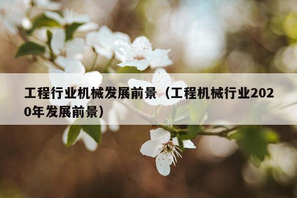 工程行业机械发展前景（工程机械行业2020年发展前景）