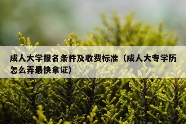 成人大学报名条件及收费标准（成人大专学历怎么弄最快拿证）