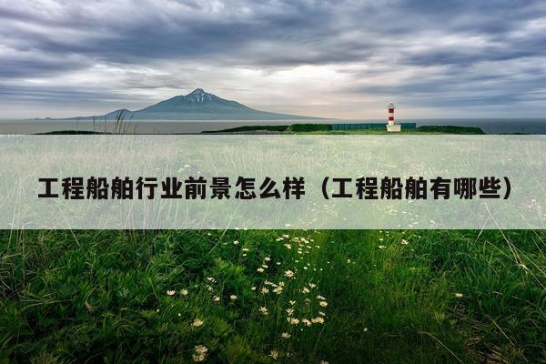工程船舶行业前景怎么样（工程船舶有哪些）