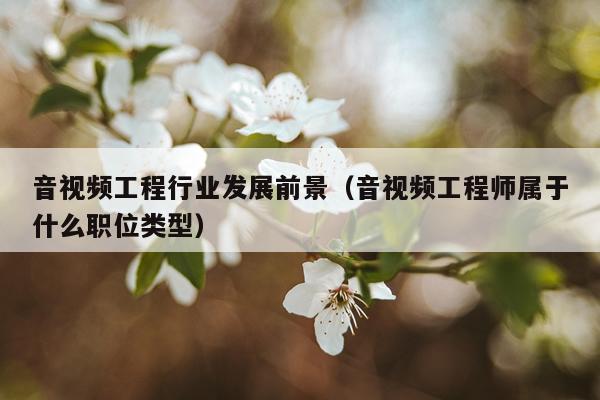 音视频工程行业发展前景（音视频工程师属于什么职位类型）