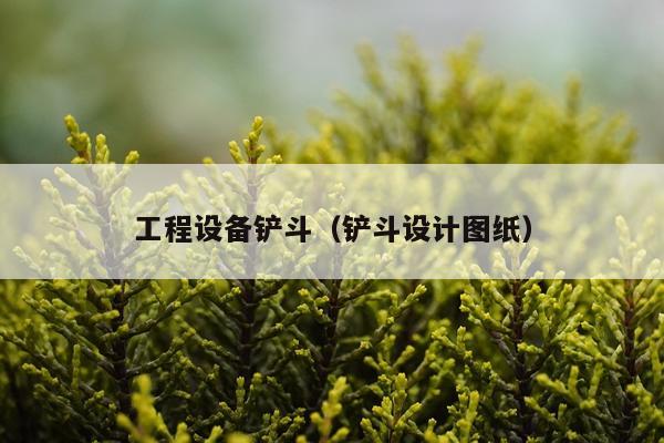 工程设备铲斗（铲斗设计图纸）