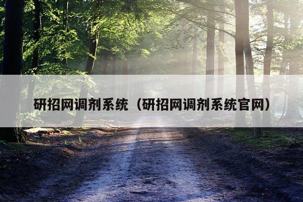 研招网调剂系统（研招网调剂系统官网）