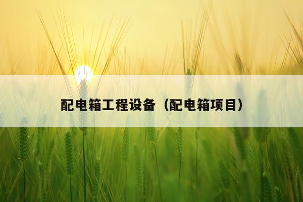 配电箱工程设备（配电箱项目）