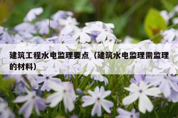 建筑工程水电监理要点（建筑水电监理需监理的材料）