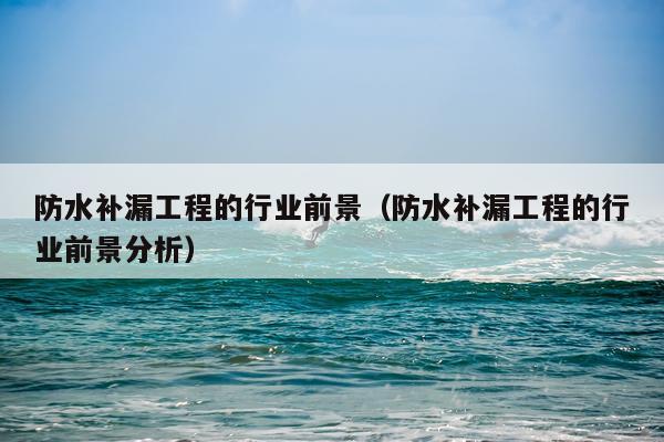 防水补漏工程的行业前景（防水补漏工程的行业前景分析）