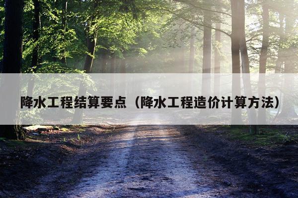 降水工程结算要点(降水工程造价计算方法)
