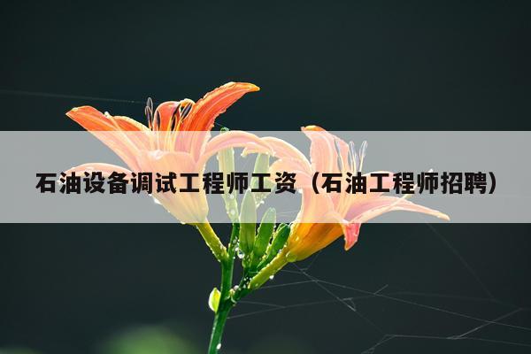 石油设备调试工程师工资（石油工程师招聘）