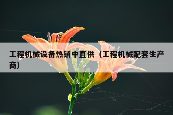工程机械设备热销中直供（工程机械配套生产商）