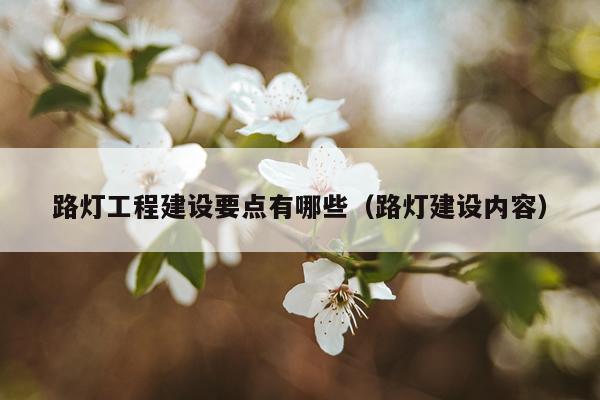 路灯工程建设要点有哪些（路灯建设内容）