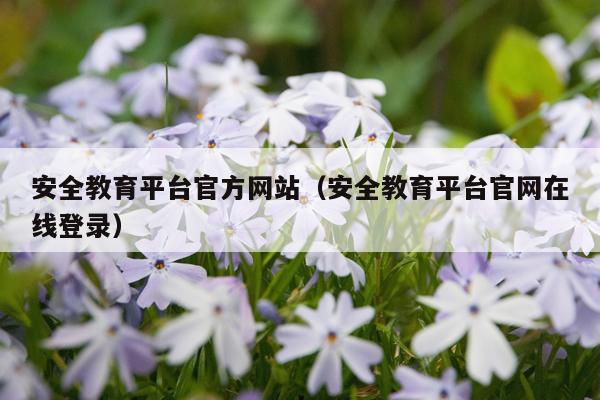 安全教育平台官方网站（安全教育平台官网在线登录）