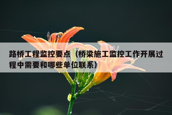 路桥工程监控要点（桥梁施工监控工作开展过程中需要和哪些单位联系）