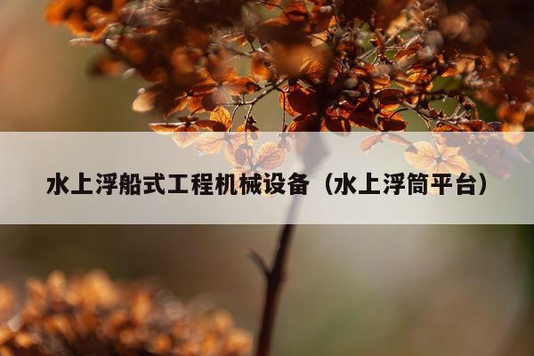 水上浮船式工程机械设备（水上浮筒平台）
