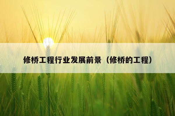 修桥工程行业发展前景（修桥的工程）