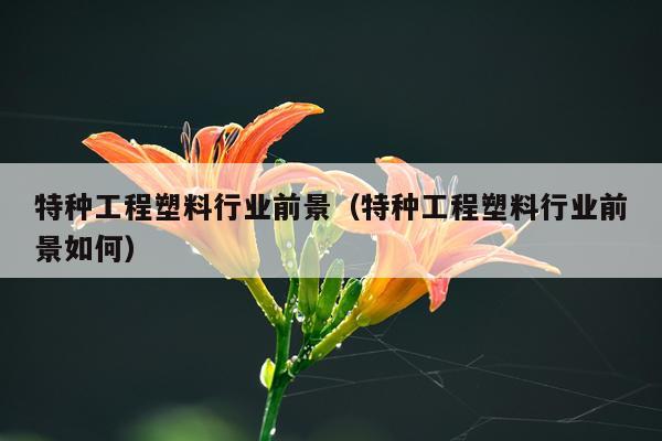 特种工程塑料行业前景（特种工程塑料行业前景如何）